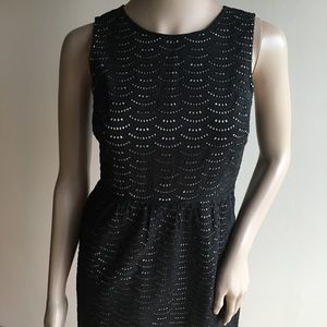 Ann Taylor LOFT Black Eyelet Dress